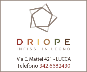 Driope Lucca - Driope Infissi in legno a Lucca